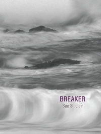 Titelbild: Breaker 1st edition 9781894078665