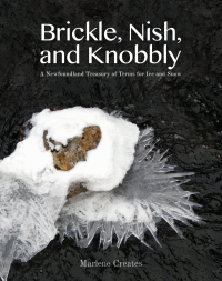 Cover image: Brickle, Nish and Knobbly 9781927099650