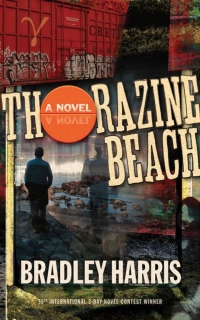 Imagen de portada: Thorazine Beach 9781927380543