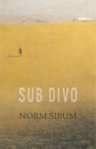 Imagen de portada: Sub Divo 9781926845968