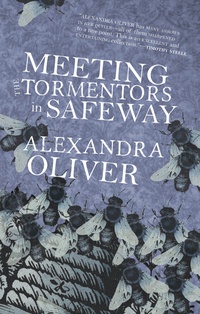 Cover image: Meeting the Tormentors in Safeway 9781927428436
