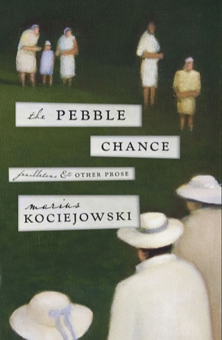 Omslagafbeelding: The Pebble Chance 9781927428771