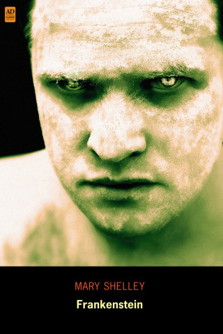 صورة الغلاف: Frankenstein  (AD Classic Illustrated) 9781926606255