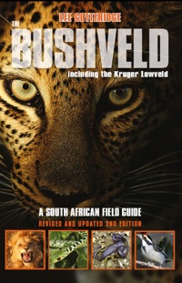 Cover image: The Bushveld 2nd Ed. 2nd edition 9781920143534
