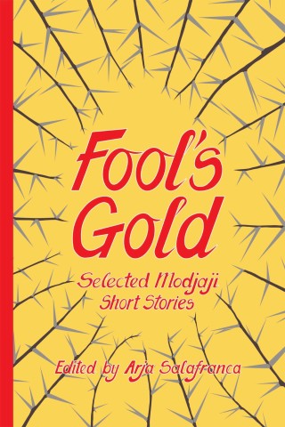 Imagen de portada: Fools' Gold 1st edition 9781928215844