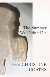 Omslagafbeelding: The Summer We Didn't Die 9781928433026