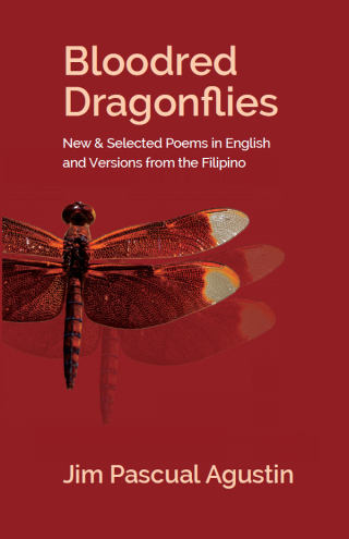 Cover image: Agustin: Bloodred Dragonflies 1st edition 9781928476467