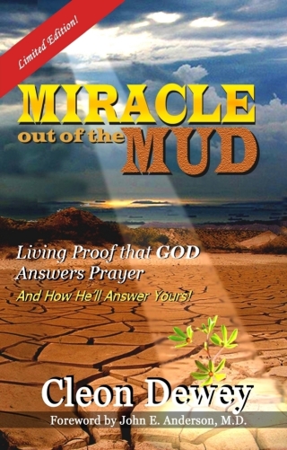 Cover image: Miracle Out of the Mud 9781929921294