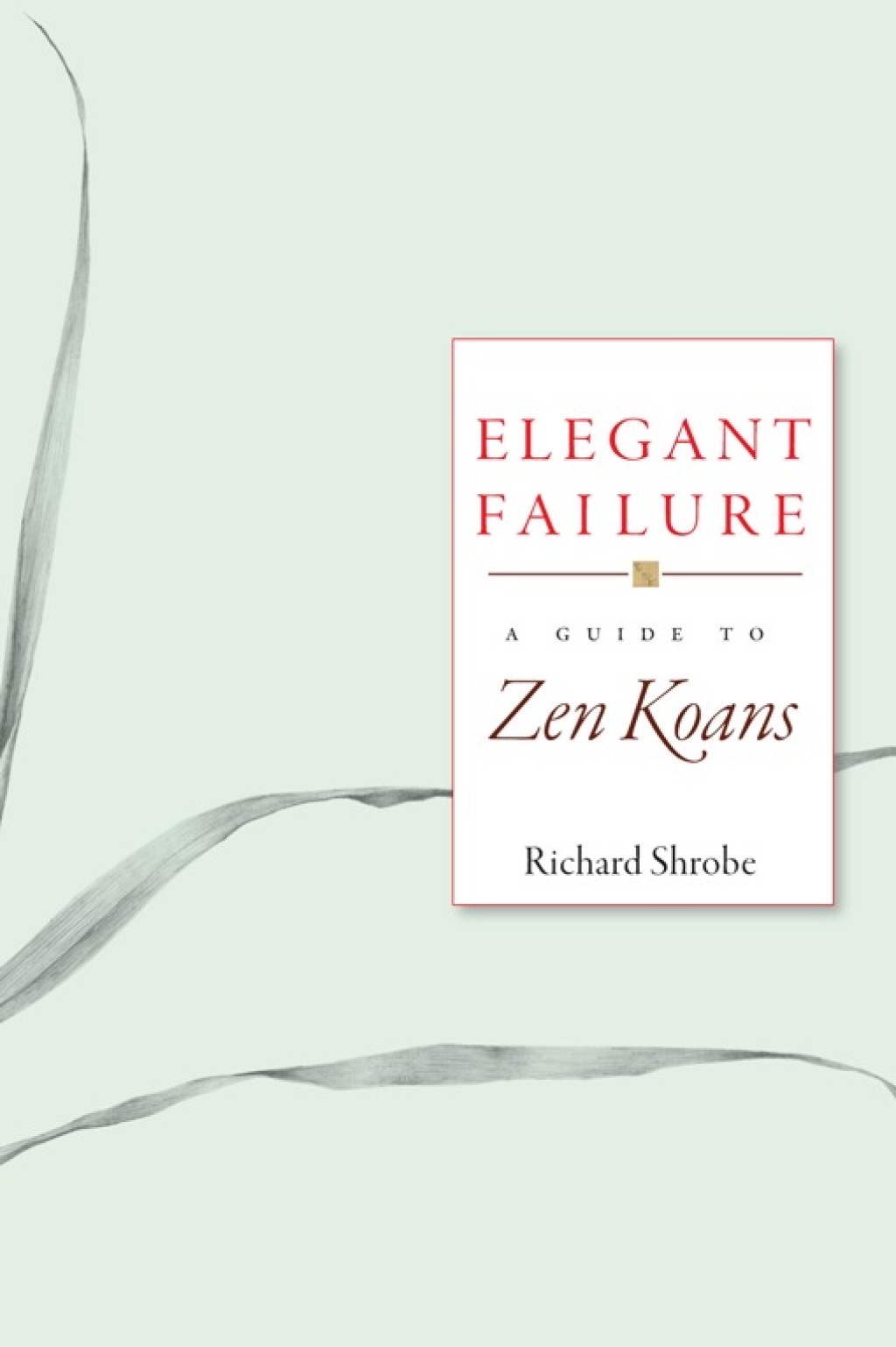 Elegant Failure A Guide to Zen Koans