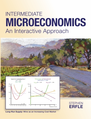 Cover image: Intermediate Microeconomics 1st edition 9781891002205