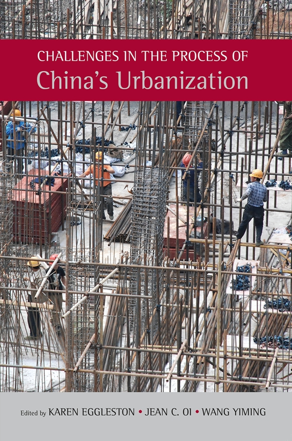 Challenges in the Process of China’s Urbanization 1st Edition