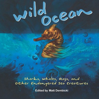 Cover image: Wild Ocean 1st edition 9781938486388