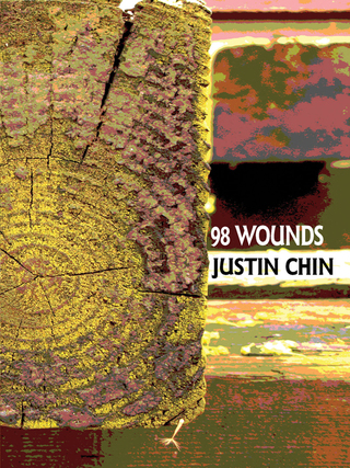 Titelbild: 98 Wounds 9781933149578
