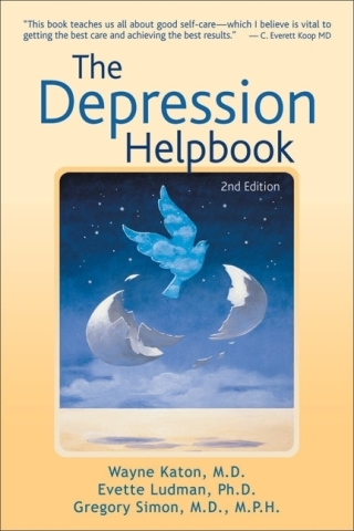 Cover image: The Depression Helpbook 2nd edition 9781933503158