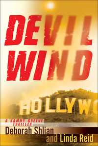 Cover image: Devil Wind 1st edition