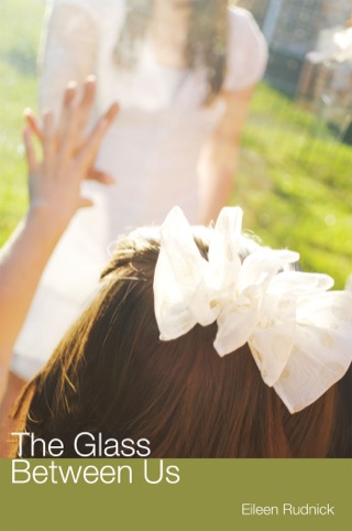 Cover image: The Glass Between Us 1st edition 9781934074640