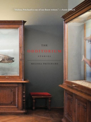 Cover image: The Odditorium 9781934137376
