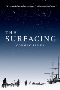 Cover image: The Surfacing 9781934137925