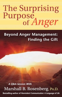 Cover image: The Surprising Purpose of Anger 1st edition 9781892005151