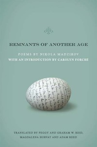 Cover image: Remnants of Another Age 9781934414507