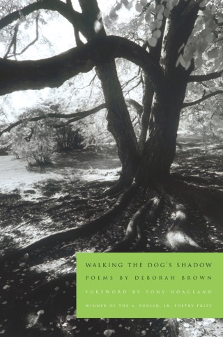 Cover image: Walking the Dog's Shadow 9781934414477