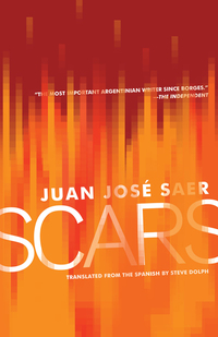 Cover image: Scars 9781934824221