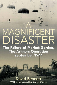 Immagine di copertina: A Magnificent Disaster 9781935149897