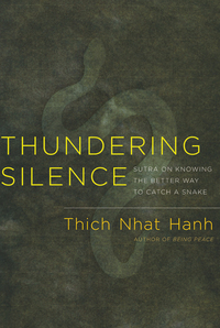 Cover image: Thundering Silence 9781888375985