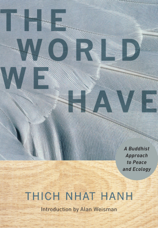 Cover image: The World We Have 9781888375886