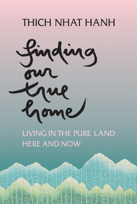 Cover image: Finding Our True Home 9781888375343