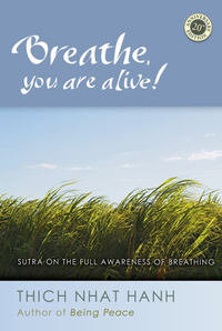 Cover image: Breathe, You Are Alive 9781888375848