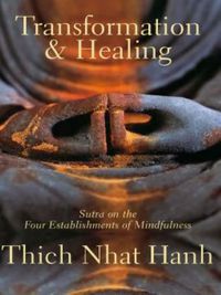 Cover image: Transformation and Healing 9781888375626
