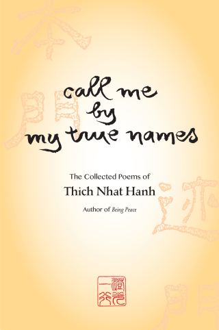 Cover image: Call Me By My True Names 9781888375169