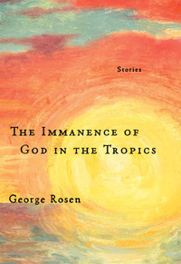 Cover image: The Immanence of God in the Tropics 9781935248316