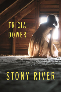 Cover image: Stony River 9781935248866