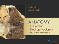 Cover image: Anatomy for Cardiac Electrophysiologists: A Practical Handbook 1st edition 9780979016448
