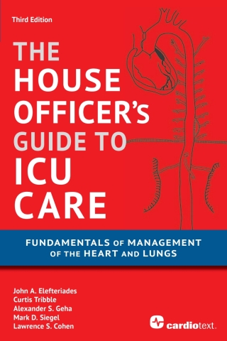 Titelbild: House Officer's Guide to ICU Care: Fundamentals of Management of the Heart and Lungs 3rd edition 9781935395683