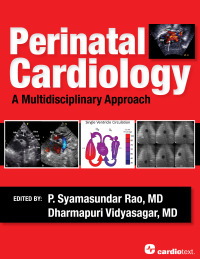 Cover image: Perinatal Cardiology: A Multidisciplinary Approach 1st edition