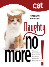 Immagine di copertina: Naughty No More 9781933958927