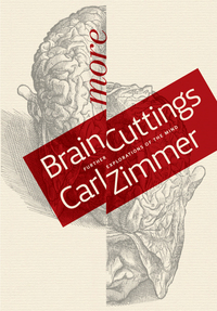 Imagen de portada: More Brain Cuttings: Further Explorations of the Mind 1st edition