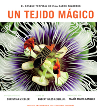 Cover image: Un Tejido Magico 9781935623946