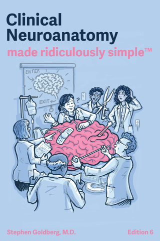 Cover image: Clinical Neuroanatomy Made Ridiculously Simple 6th edition 9781935660514