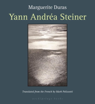 Cover image: Yann Andrea Steiner 9780976395089