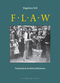 Cover image: Flaw 9780979333019
