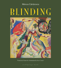 Cover image: Blinding 9781935744849