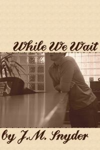 Imagen de portada: While We Wait 9781935753308