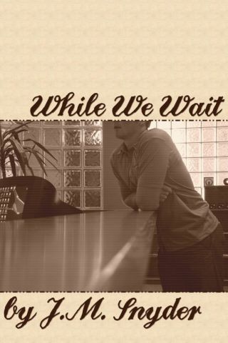 Cover image: While We Wait 9781935753308
