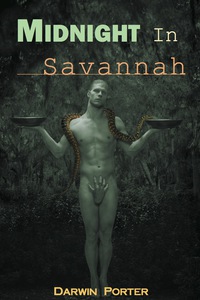 Cover image: Midnight in Savannah 9780966803013