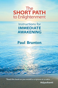 صورة الغلاف: The Short Path to Enlightenment 9781936012305