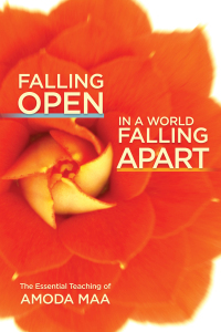 Cover image: Falling Open in a World Falling Apart 9781936012923